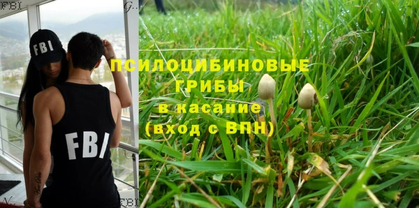 МДМА Бородино