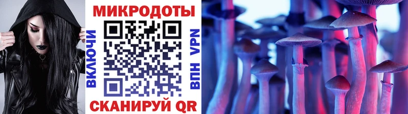 Галлюциногенные грибы Psilocybe Камышлов